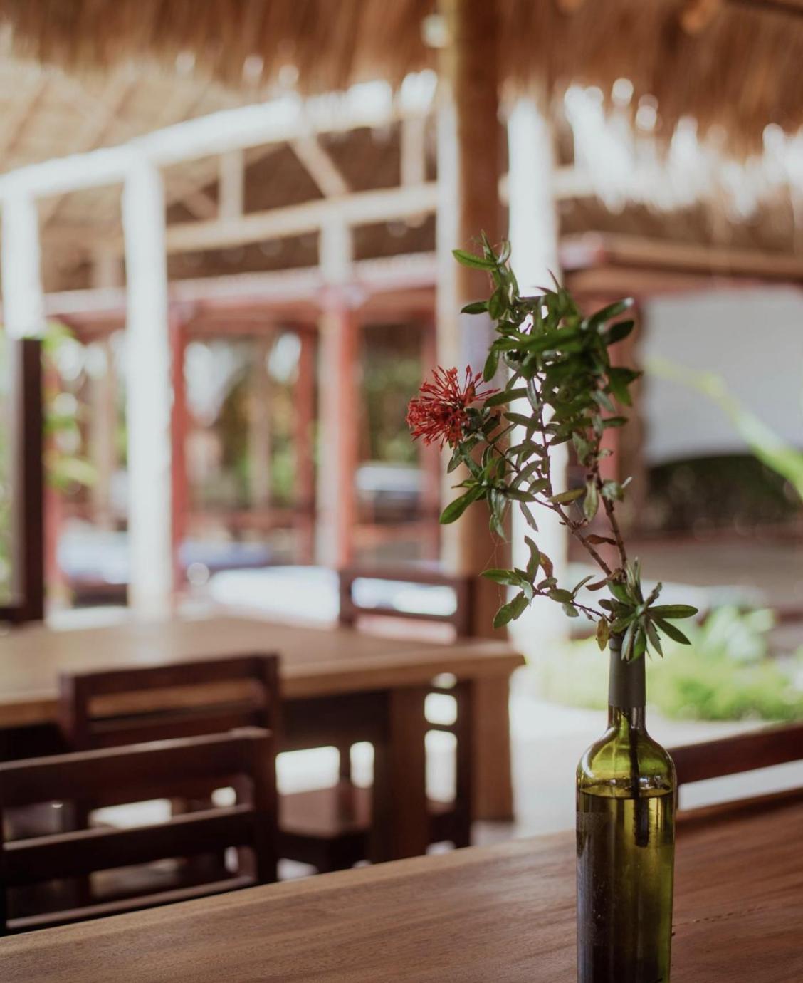 Hotel Ingigante Rivas Exterior photo